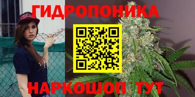 герыч Будённовск
